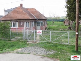 casa-cu-teren-1000-mp-vetis-id-21349