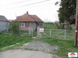 casa-cu-teren-1000-mp-vetis-id-21349-1