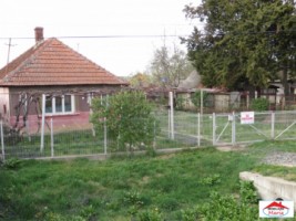 casa-cu-teren-1000-mp-vetis-id-21349-2