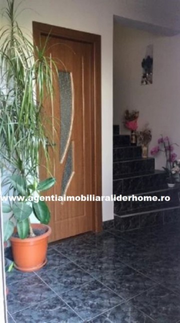 vila-dpe-zona-inspectoratului-scolar-2