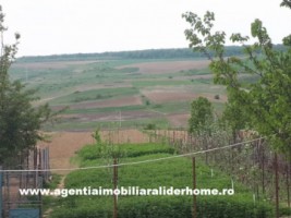 casa-3-camere-tulbureni-6