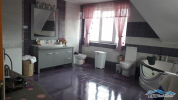 lux-imobiliare-vinde-casa-cu-18-ari-teren-ideala-pentru-2-familii-7