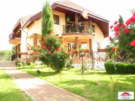 casa-in-paulesti-subsol-parter-si-mansarda-id-21466