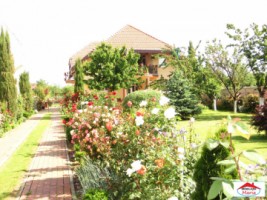 casa-in-paulesti-subsol-parter-si-mansarda-id-21466-1