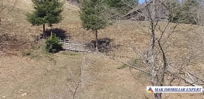 teren-extravilan-175-ha-de-vanzare-rucar-rausor-arges-ideal-pentru-proiecte-agricole-extinse-sau-turism-rural