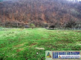 teren-4600-mp-intraextravilan-de-vanzare-pe-lunca-dragoslavele-arges-potential-pentru-dezvoltari-imobiliare