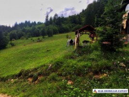 nu-colaboreaza-teren-2004-mp-2-lotu-x-1002-mp-intravilan-dambovicioara-valea-cheii-2