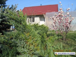 de-vanzare-vila-7-camere-teren-1250-mp-pitesti-arges-3