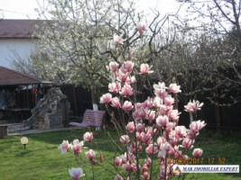 de-vanzare-vila-7-camere-teren-1250-mp-pitesti-arges-25
