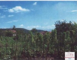 casa-de-vanzare-in-talmaciu-5