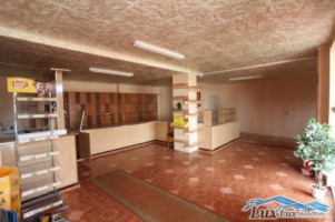 lux-imobiliare-vinde-3-case-1-ha-teren-pt-statiune-cu-apa-termala