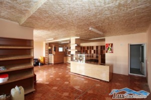 lux-imobiliare-vinde-3-case-1-ha-teren-pt-statiune-cu-apa-termala-3