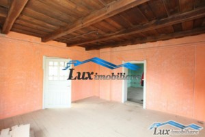 lux-imobiliare-vinde-3-case-1-ha-teren-pt-statiune-cu-apa-termala-5