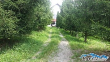 teren-in-chiuzbaia-44-ari-22000-euro-intravilan-2