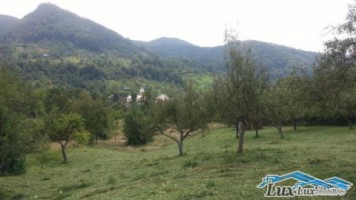 teren-in-chiuzbaia-44-ari-22000-euro-intravilan-4