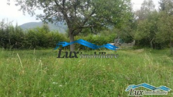 teren-in-chiuzbaia-44-ari-22000-euro-intravilan-5