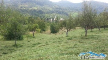teren-in-chiuzbaia-44-ari-22000-euro-intravilan-6