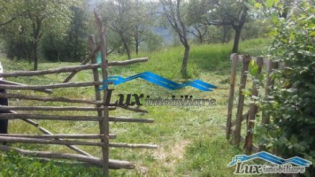 teren-in-chiuzbaia-44-ari-22000-euro-intravilan-7
