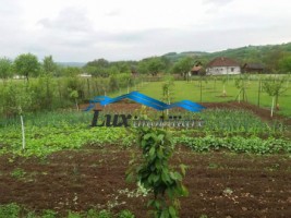 casa-in-laschia-14