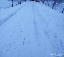 teren-165-ari-zona-victoriei-valea-borcutului-2