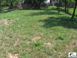 comarnic-teren-intravilan-de-vanzare-1