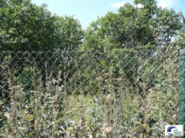 comarnic-teren-intravilan-de-vanzare-2