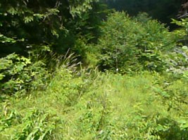 predeal-teren-intravilan-de-vanzare