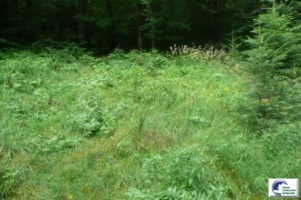 predeal-teren-intravilan-de-vanzare-4