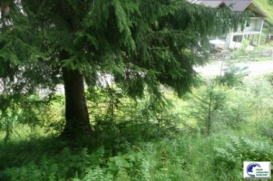 predeal-teren-intravilan-de-vanzare-5