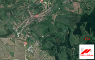 teren-extravilan-agricol-pentru-pasunat-1