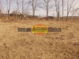 teren-800-mp-zona-lebada
