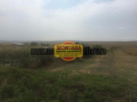 teren-intravilan-2400-mp-catamarasti-deal-1