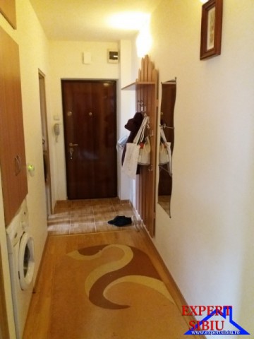 inchiriez-apartament-2-camere-renovat-zona-terezian-6