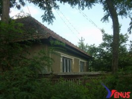 casa-de-vanzare-in-bihor-vasad-curtuiseni-2