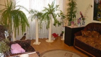 apartament-cu-3-camere-de-vanzare-in-alba-alba-iulia-0