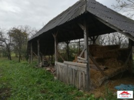 casa-romanesti-mediesu-aurit-cu-teren-5000-mp-id-21523-2