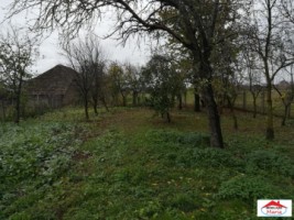 casa-romanesti-mediesu-aurit-cu-teren-5000-mp-id-21523-4