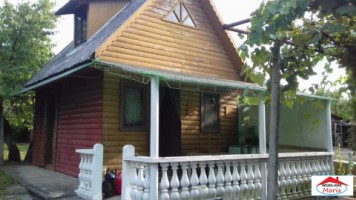 casa-cu-teren-10-ari-in-viile-satu-mare