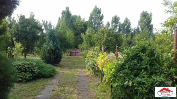 casa-cu-teren-10-ari-in-viile-satu-mare-1