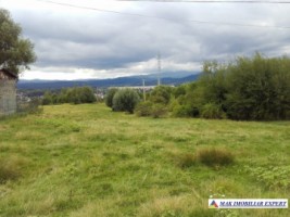 teren-de-vanzare-8000-mp-extravilan-in-cretisoara-campulung-muscel-arges-1