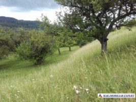vand-teren-intravilan-5000-mp-flamanda-campulung-muscel-arges-cu-livada-si-vedere-panoramica-17