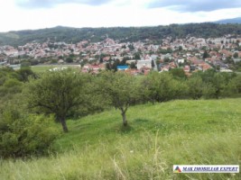 vand-teren-intravilan-5000-mp-flamanda-campulung-muscel-arges-ideal-pentru-dezvoltare-rezidentiala-sau-turistica-8