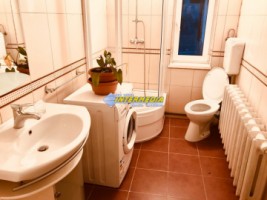 apartament-cu-1-camera-la-casa-de-inchiriat-zona-cetate-mobilat-si-utilat-complet-22
