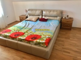 casa-pm-noua-de-vanzare-in-cetate-alba-iulia-imprejmuita-si-finisata-cu-toate-utilitatile-si-720-mp-teren-2