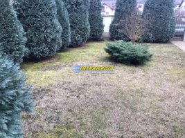 casa-pm-noua-de-vanzare-in-cetate-alba-iulia-imprejmuita-si-finisata-cu-toate-utilitatile-si-720-mp-teren-15