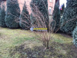 casa-pm-noua-de-vanzare-in-cetate-alba-iulia-imprejmuita-si-finisata-cu-toate-utilitatile-si-720-mp-teren-19