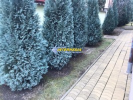 casa-pm-noua-de-vanzare-in-cetate-alba-iulia-imprejmuita-si-finisata-cu-toate-utilitatile-si-720-mp-teren-20