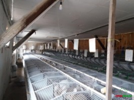 hala-180-mp-plus-birou-si-curte-de-inchiriat-in-sibiu-langa-centrura-ocolitoare-2