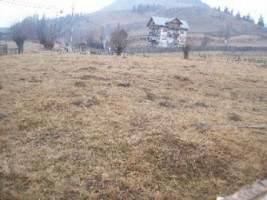 teren-5000-mp-intravilan-rucar-2