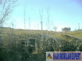 teren-5000-mp-intravilan-rucar-3